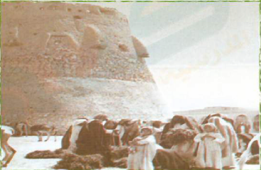 اجتماع قبيلة
